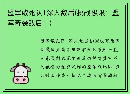盟军敢死队1深入敌后(挑战极限：盟军奇袭敌后！)
